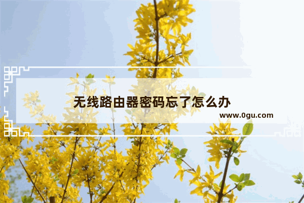 无线路由器密码忘了怎么办