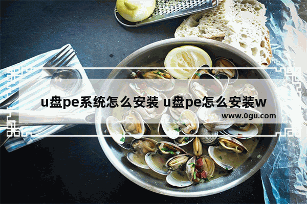 u盘pe系统怎么安装 u盘pe怎么安装win10系统