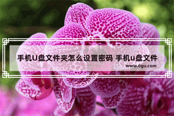 手机U盘文件夹怎么设置密码 手机u盘文件夹怎么设置密码