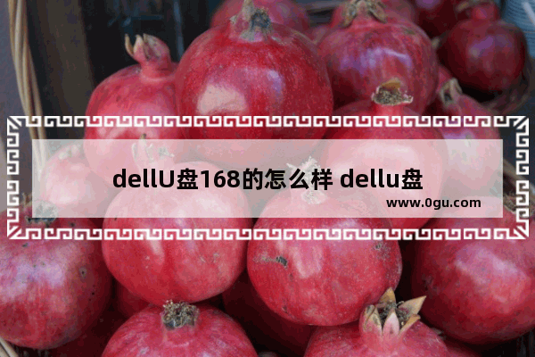 dellU盘168的怎么样 dellu盘装机步骤