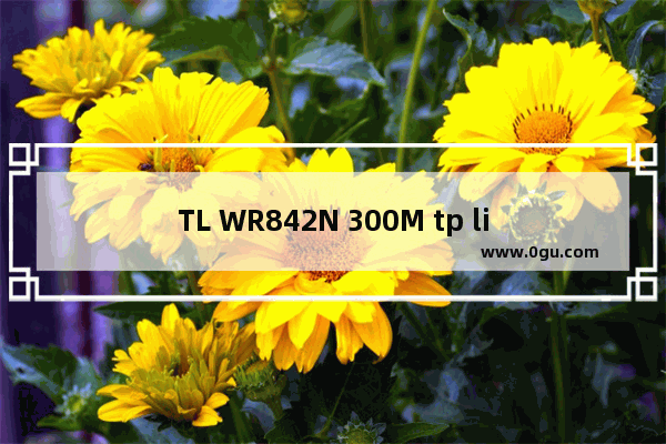 TL WR842N 300M tp link 无线路由器设置