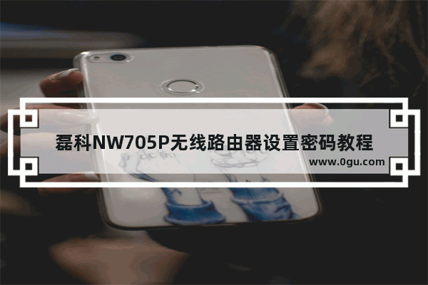磊科NW705P无线路由器设置密码教程
