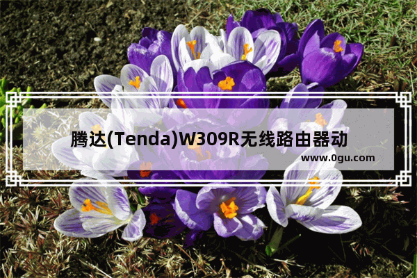 腾达(Tenda)W309R无线路由器动态IP上网设置方法
