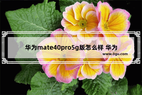 华为mate40pro5g版怎么样 华为mate40pro5g介绍