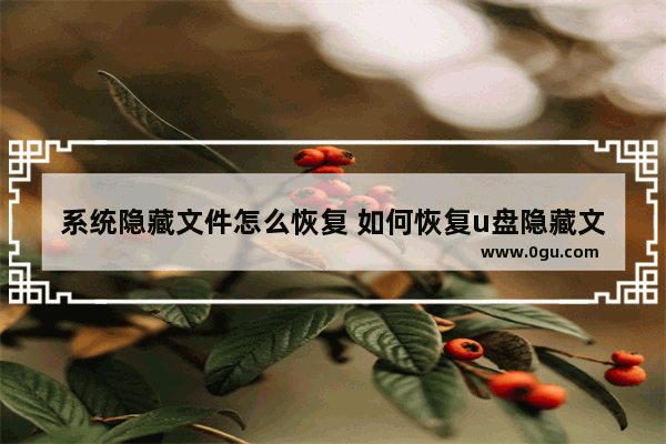 系统隐藏文件怎么恢复 如何恢复u盘隐藏文件