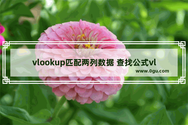 vlookup匹配两列数据 查找公式vlookup的运用