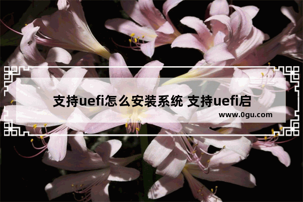 支持uefi怎么安装系统 支持uefi启动