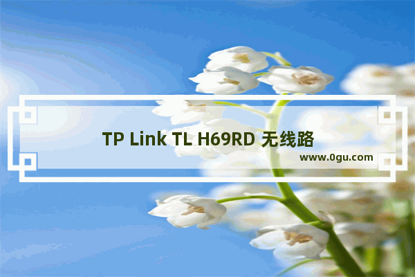 TP Link TL H69RD 无线路由器管控网络权限设置