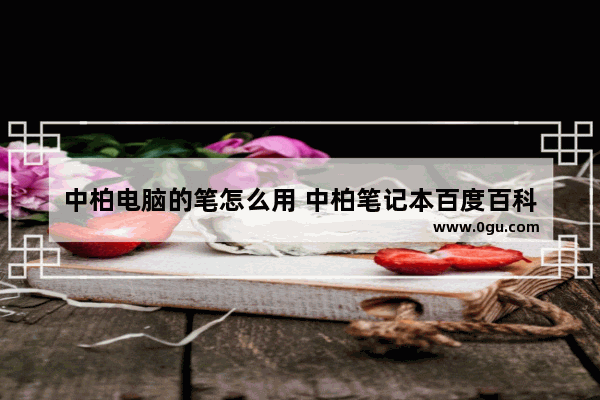 中柏电脑的笔怎么用 中柏笔记本百度百科
