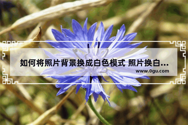 如何将照片背景换成白色模式 照片换白底最简单的方法