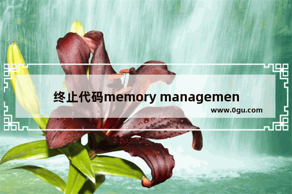 终止代码memory management 蓝屏提示memory management解决方法