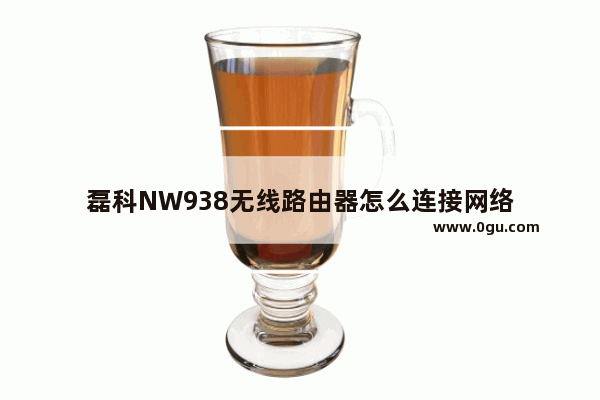 磊科NW938无线路由器怎么连接网络