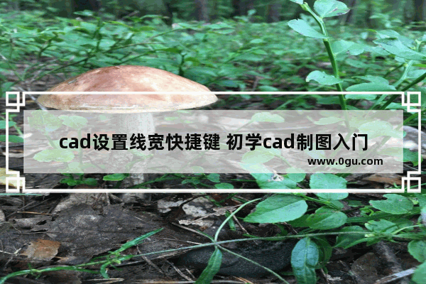 cad设置线宽快捷键 初学cad制图入门知识