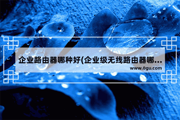企业路由器哪种好(企业级无线路由器哪个牌子好)