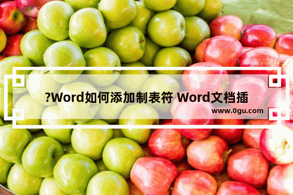 ?Word如何添加制表符 Word文档插入制表符的方法教程