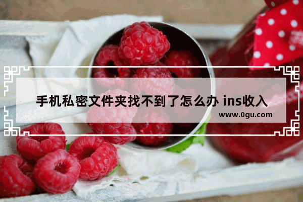 手机私密文件夹找不到了怎么办 ins收入私密文件夹找不到了