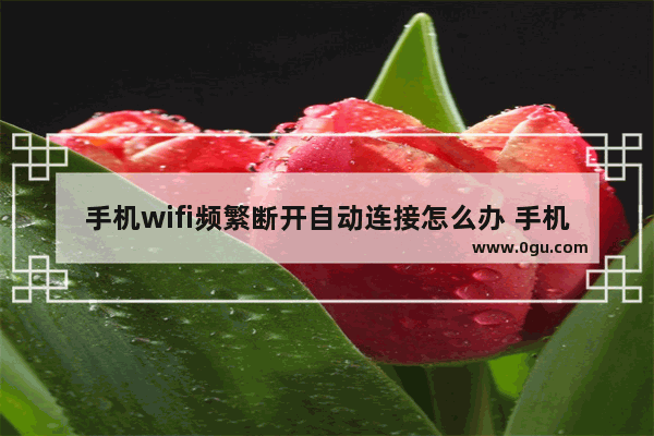 手机wifi频繁断开自动连接怎么办 手机WIFI经常断网处理方法