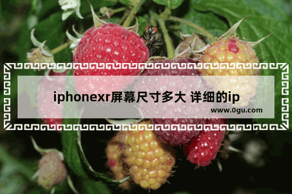 iphonexr屏幕尺寸多大 详细的iphonexr参数配置
