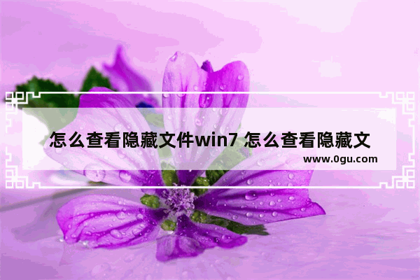怎么查看隐藏文件win7 怎么查看隐藏文件Win10