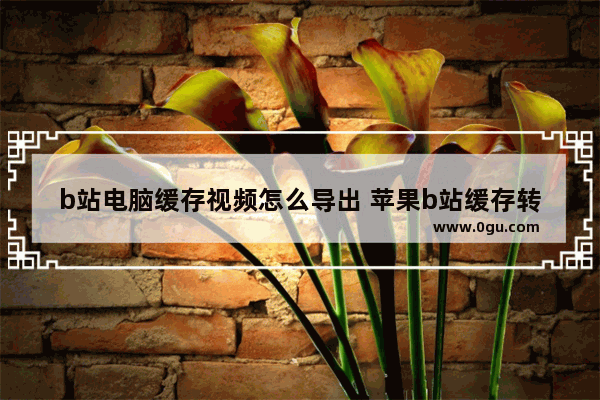 b站电脑缓存视频怎么导出 苹果b站缓存转本地教程