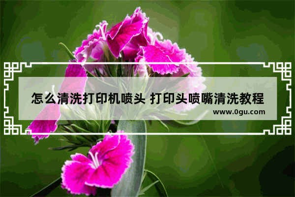 怎么清洗打印机喷头 打印头喷嘴清洗教程