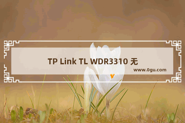 TP Link TL WDR3310 无线路由器映射服务器操作流程