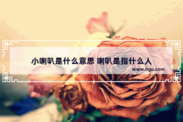 小喇叭是什么意思 喇叭是指什么人