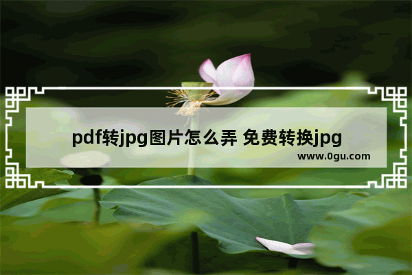 pdf转jpg图片怎么弄 免费转换jpg的软件推荐