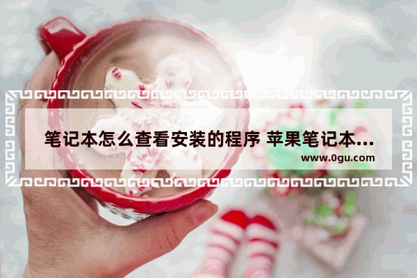 笔记本怎么查看安装的程序 苹果笔记本能安装exe程序