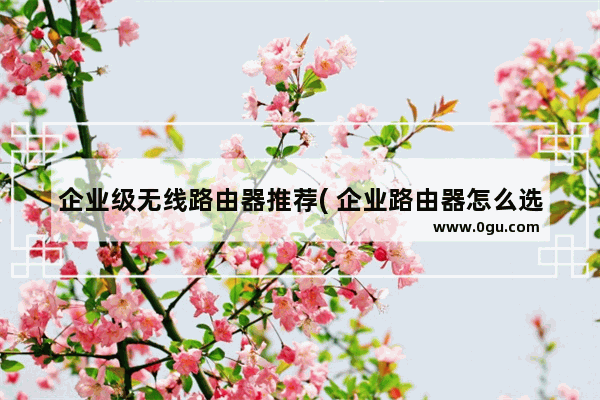 企业级无线路由器推荐( 企业路由器怎么选)