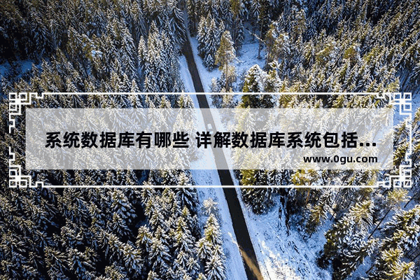 系统数据库有哪些 详解数据库系统包括的部分