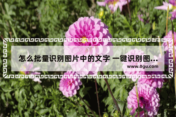 怎么批量识别图片中的文字 一键识别图片文字教程