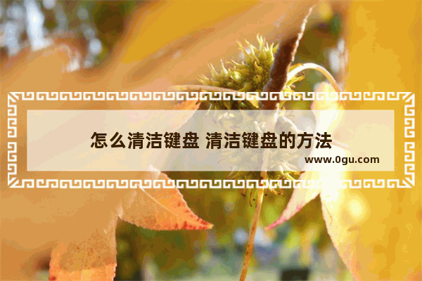 怎么清洁键盘 清洁键盘的方法