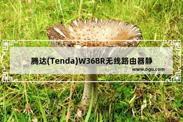 腾达(Tenda)W368R无线路由器静态IP上网设置详细图文教程
