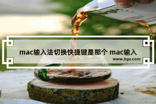 mac输入法切换快捷键是那个 mac输入法切换快捷键介绍