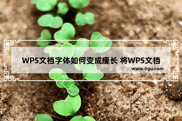 WPS文档字体如何变成瘦长 将WPS文档中的文字设置拉伸效果的方法