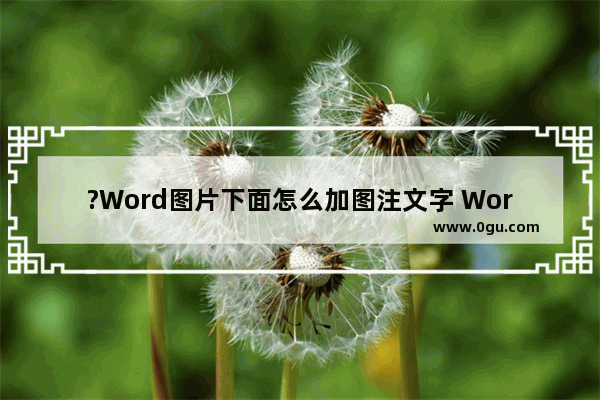 ?Word图片下面怎么加图注文字 Word在图片下方标注文字的方法教程
