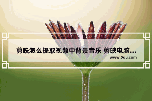 剪映怎么提取视频中背景音乐 剪映电脑版提取视频中背景音乐的方法