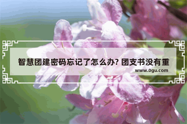 智慧团建密码忘记了怎么办? 团支书没有重置密码验证码