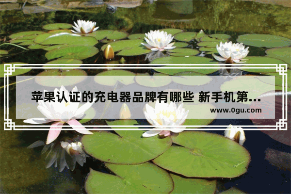 苹果认证的充电器品牌有哪些 新手机第一次充电正确方法