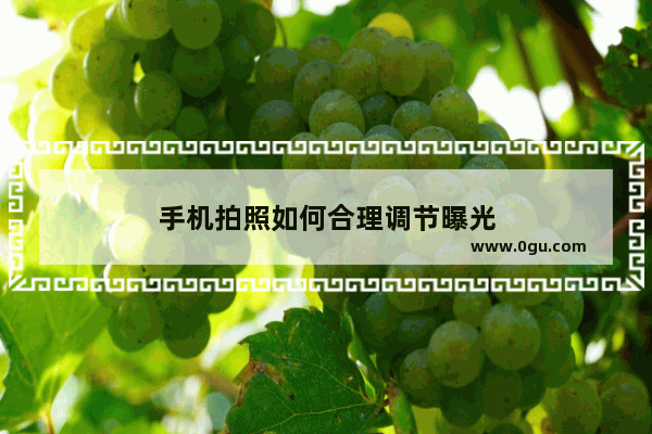 手机拍照如何合理调节曝光