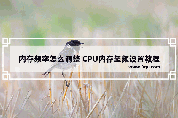 内存频率怎么调整 CPU内存超频设置教程