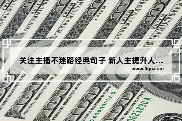 关注主播不迷路经典句子 新人主提升人气的秘籍