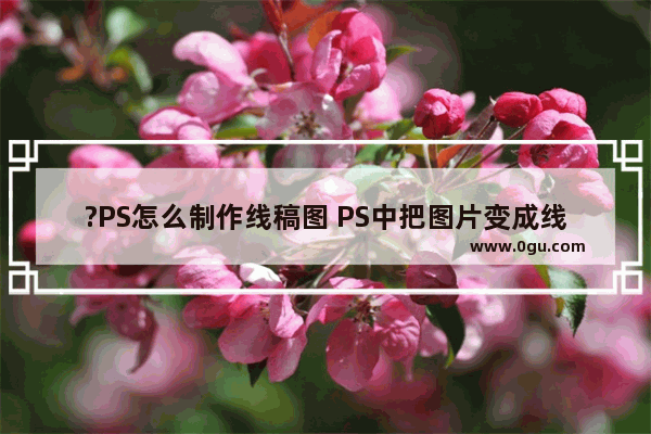 ?PS怎么制作线稿图 PS中把图片变成线稿的方法教程