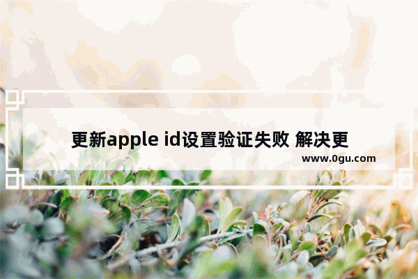 更新apple id设置验证失败 解决更新apple id设置验证失败的方法