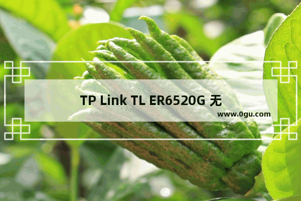 TP Link TL ER6520G 无线路由器Web认证设置操作指南