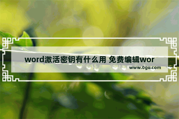 word激活密钥有什么用 免费编辑word文档的软件推荐