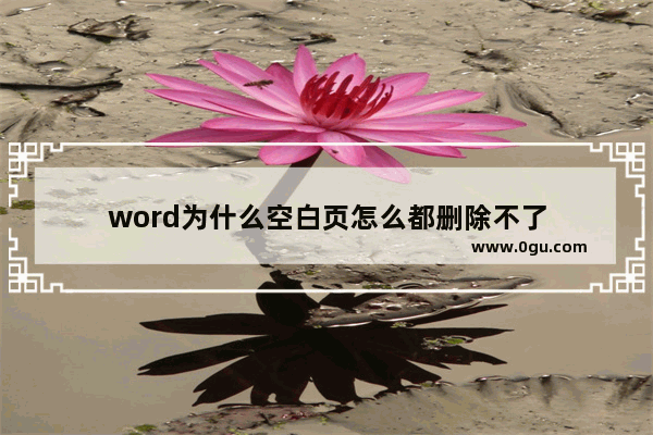 word为什么空白页怎么都删除不了