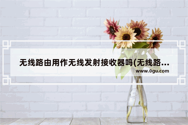 无线路由用作无线发射接收器吗(无线路由当接收器)