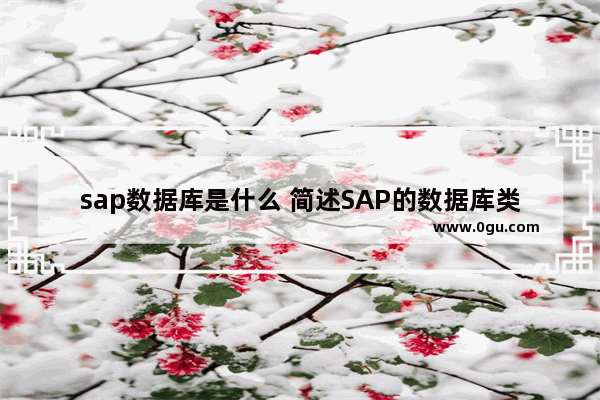 sap数据库是什么 简述SAP的数据库类型